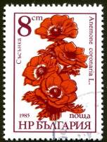 (1986-072) Марка Болгария "Анемона"   Садовые цветы III Θ